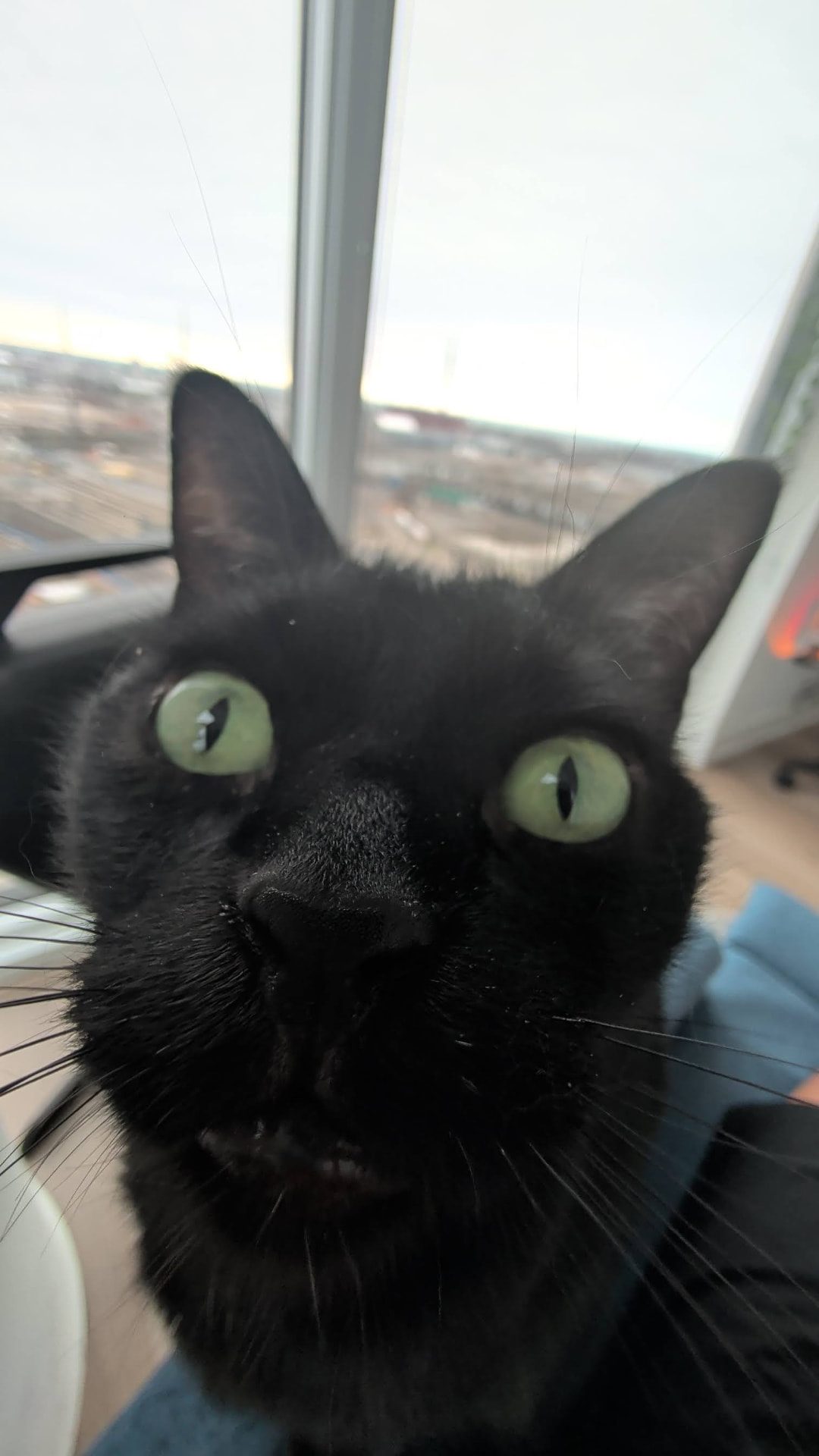 Extreme close-up of Nero's face and bright green eyes